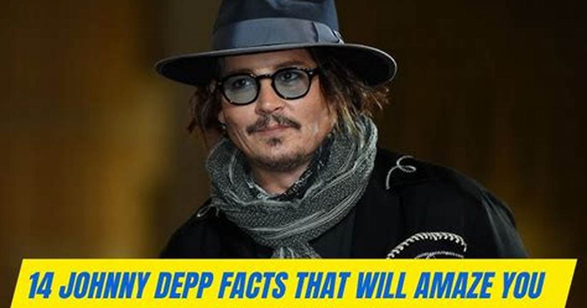 5 Things to Know About Johnny Depp’s Lawyer – Hollywood Life