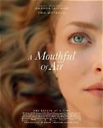 Amanda Seyfried Discusses ‘A Mouthful of Air’ & Postpartum Depression – Hollywood Life