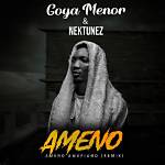 Ameno Amapiano Remix Song on Tiktok – Find the Lyrics Meaning and English Translation