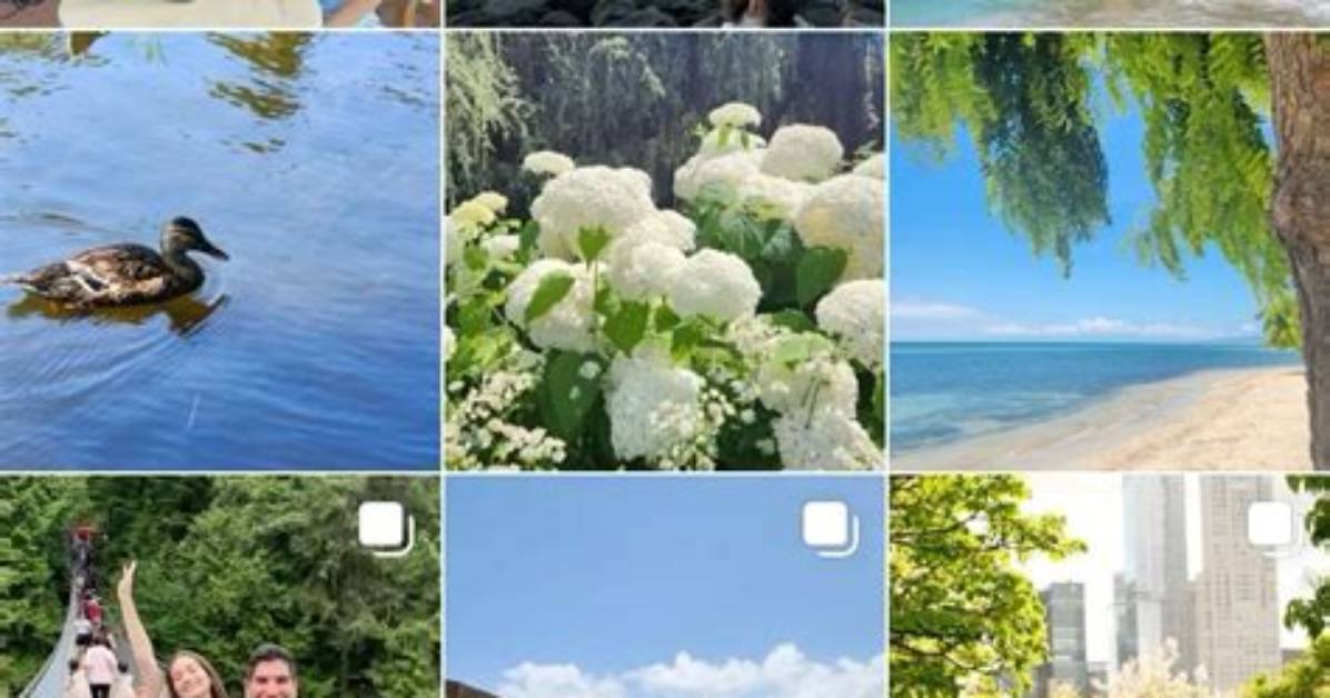 An in-Depth Exploration for Instagram Enthusiasts