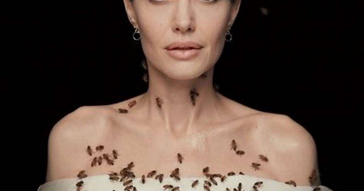 Angelina Jolie Gets Covered in Bees for Conservation Awareness — Watch – Hollywood Life