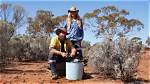 Aussie Gold Hunters: Alex Stead Wiki, Biography, Wife, Age, Height, Net Worth
