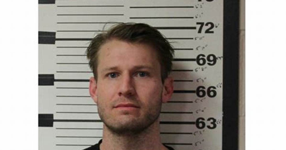 Brian Hickerson’s Mugshot: See Hayden Panettiere’s Bf After Arrest for Domestic Battery – Pic