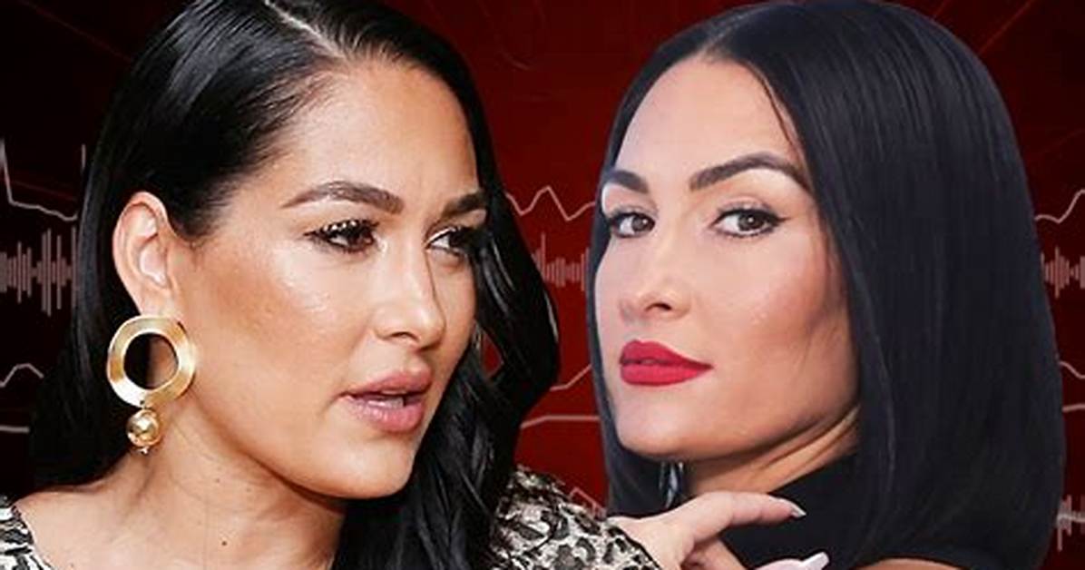 Brie Bella Admits Sister Nikki’s Bf Artem Is Her 2-Year-Old Daughter Birdie’s Best Friend: ‘She’s Obsessed’