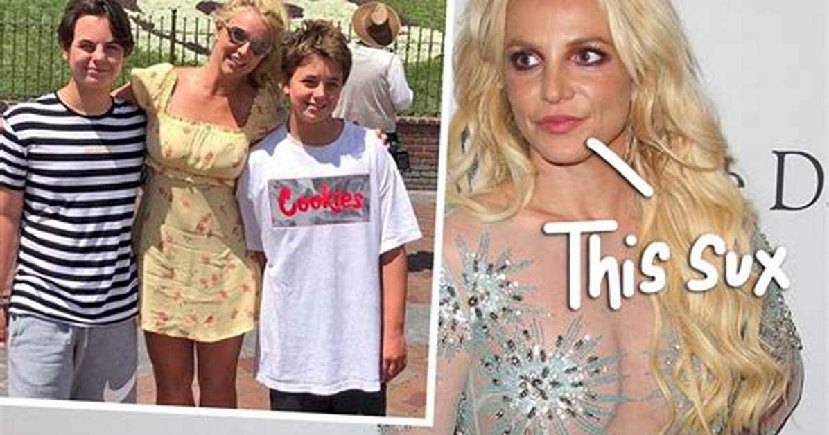 Britney Spears Hasn’t Seen Her Sons in One Year: Report – Hollywood Life