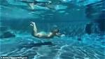 Britney Spears Swims Naked Underwater in New Pics – Hollywood Life