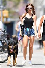 Celebrities Walking Their Dogs: Photos – Hollywood Life