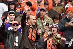 Celebrity Fans of the Cincinnati Bengals – Hollywood Life