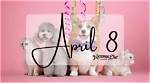 Dashblog | April 8 Birthdays