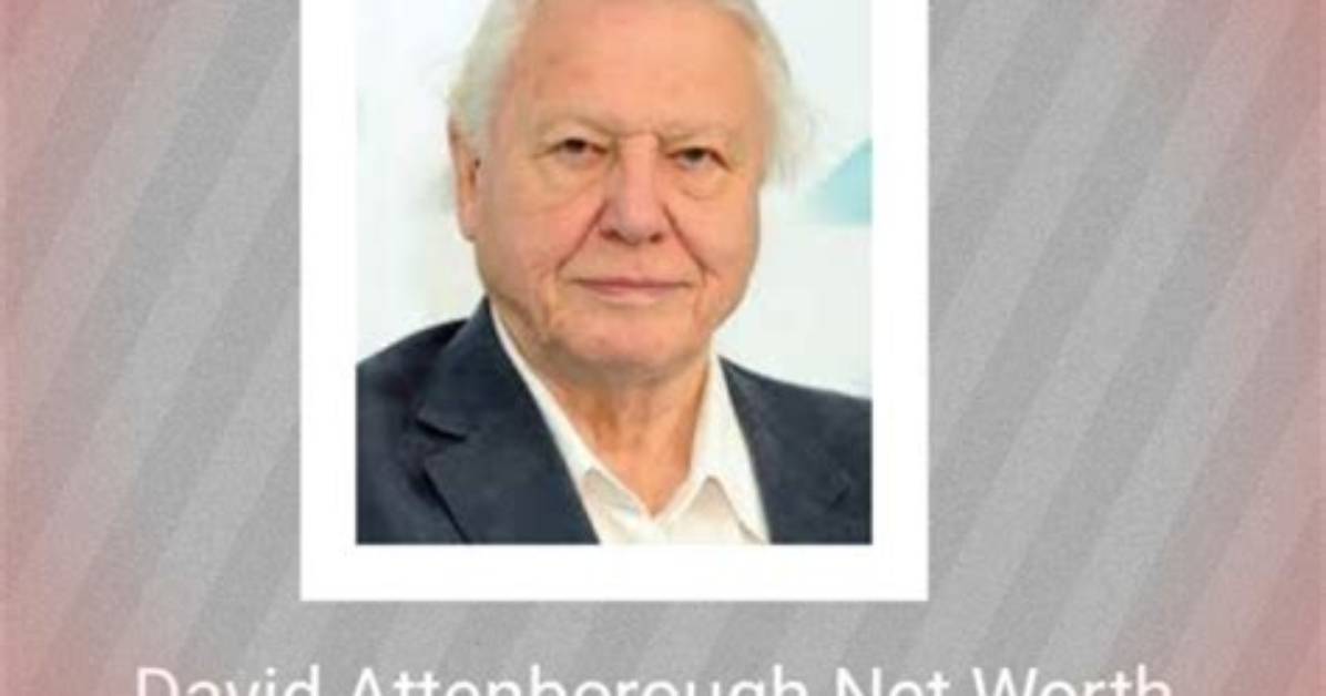 David Davis Net Worth, Income, Salary, Earnings, Biography