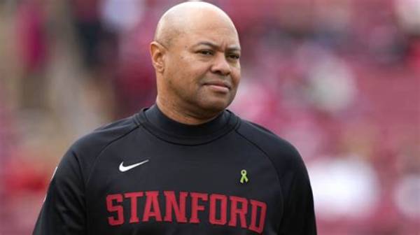 David Shaw