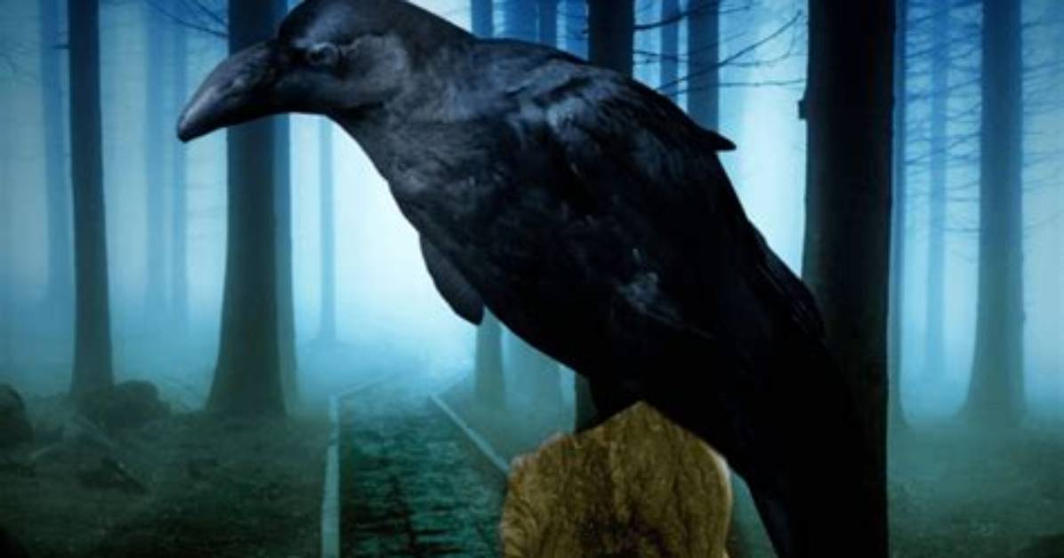 Deadly Omen: Birds That Portend Death