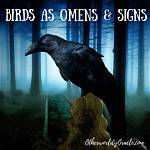 Deadly Omen: Birds That Portend Death
