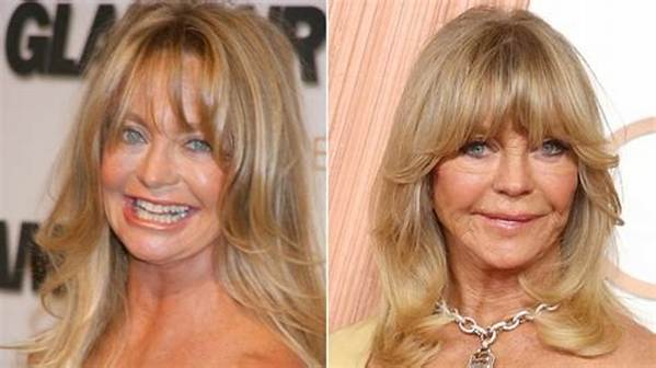 Did Goldie Hawn Resort to Plastic Surgery? the Answers You Seek