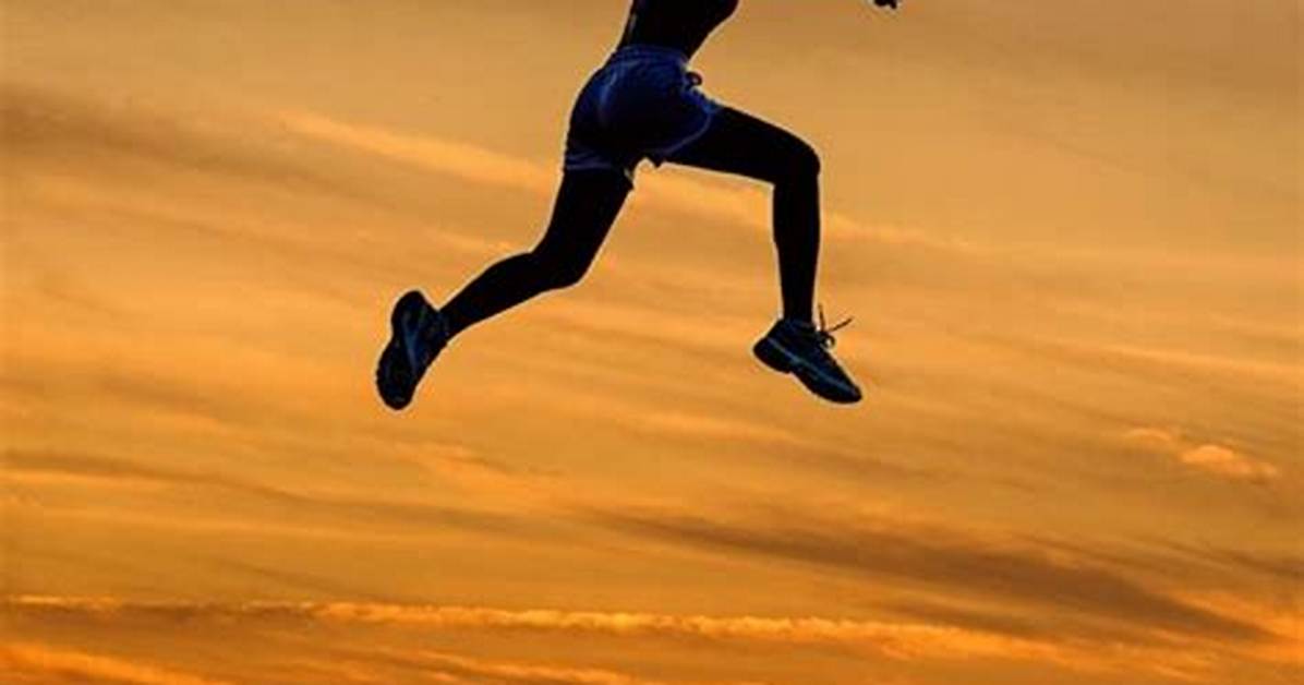 Discover the Science Behind Peak Performance with Andrew Huberman's Teachings