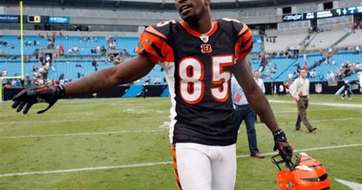 Exploring Chad Johnson Net Worth a Net Worth