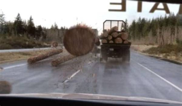 ‘Final Destination 2’ Real Life Log Car Crash – Hollywood Life