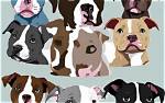 Find Your Perfect Pit Bull Companion: New Orleans Pit Bull Rescue