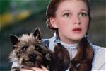 Fluffy's Faithful Companion: Meet His Devoted Wife