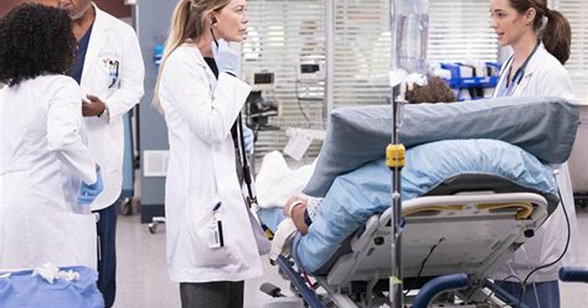 ‘Grey’s Anatomy’ Recap — Meredith Pregnant — Season 9 Episode 7 – Hollywood Life
