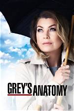 ‘Grey’s Anatomy’: the Top Theories About Who Else Is on the Beach — Lexie, George & More