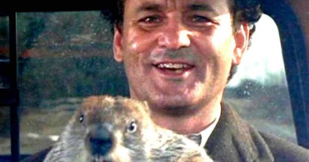 Groundhog Day Memes for Your Entertainment