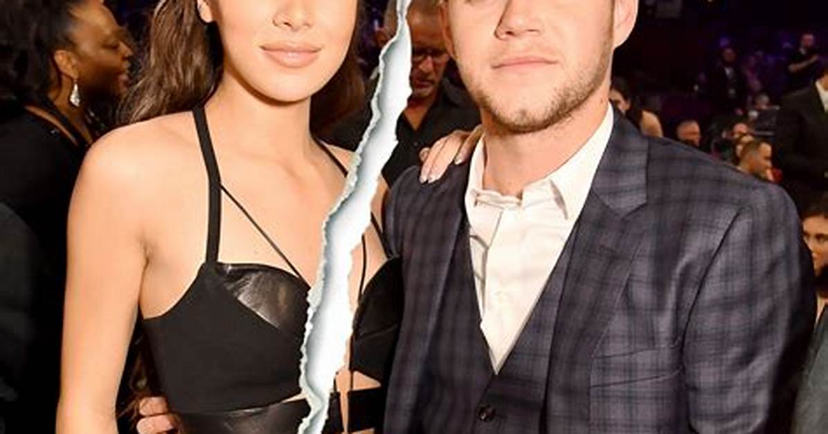 Hailee Steinfeld & Niall Horan: Exes Risk Awkward Run-in as They Both Attend Same Grammys Party