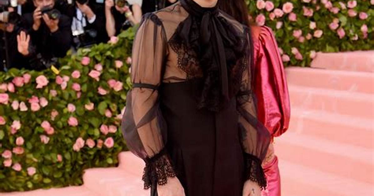 Harry Styles’ Outfit at Met Gala 2019 – Photos of the Sheer Jumpsuit – Hollywood Life