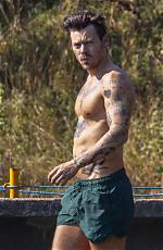 Harry Styles Shows off His Biceps as He & Olivia Wilde Leave the Gym Together — Photos