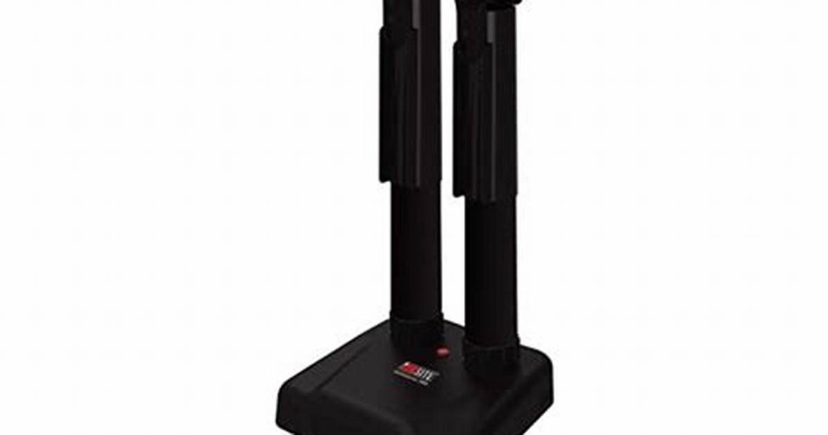 Highest-Rated Boot Dryers of 2023 – Hollywood Life Reviews – Hollywood Life