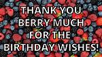 Hilarious Thanks for the Epic Birthday Shoutouts