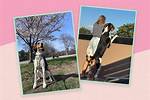 How Getting a Dog Helped Me Lose 10 Pounds