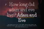 How Long Does Adam and Eve Take to Ship