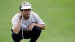 How Old Is David Toms