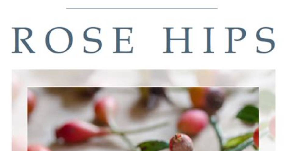 How to Preserve Rose Hips for Decoration