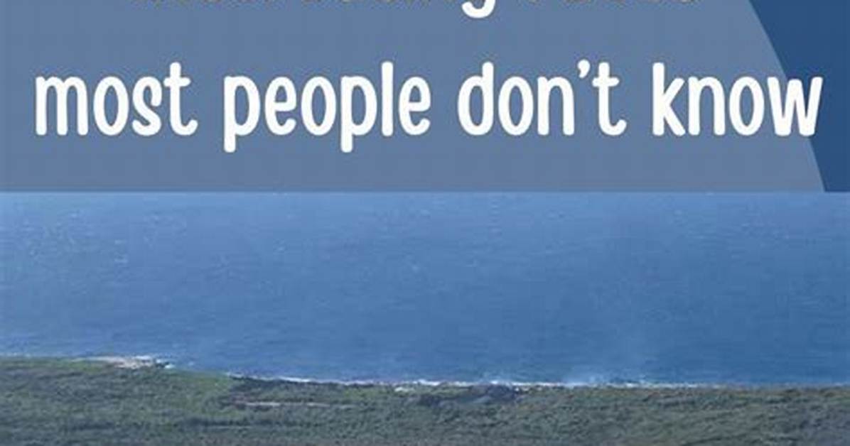 Interesting Facts That People Don't Know About Roxy Olin