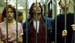 Is Molly Nolblitt Behind Bars: a Comprehensive Inquiry