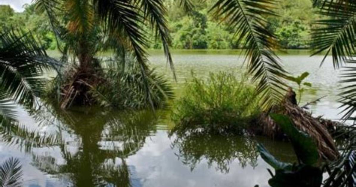 Isunga Lodge, Fort Portal, Uganda