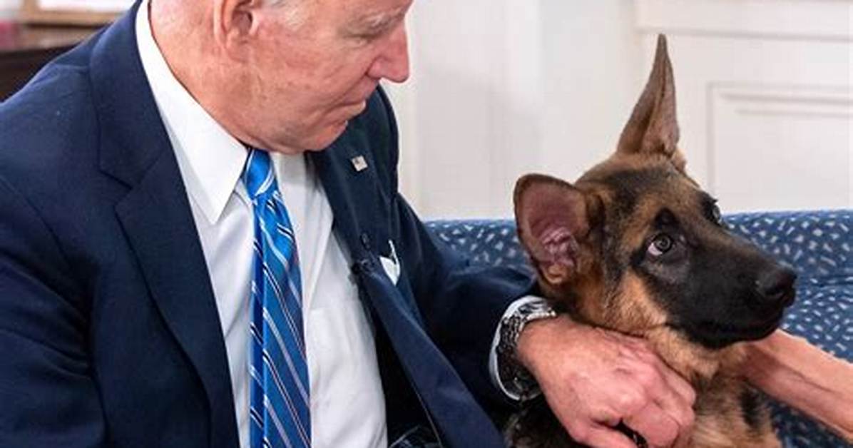 Joe Biden’s Dogs Kicked out of White House After Alleged Biting Incident — Report