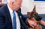 Joe Biden’s Dogs Kicked out of White House After Alleged Biting Incident — Report