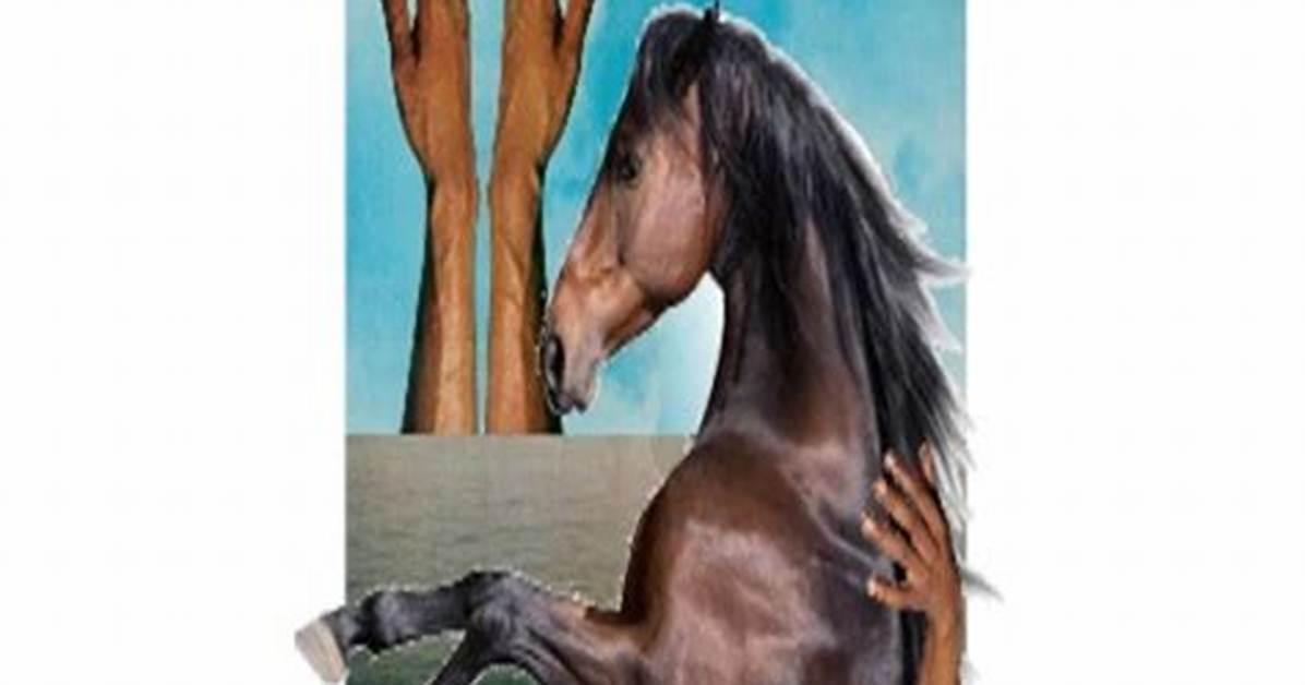Kenneth Pinyan Biography: Mr. Hands – 2Guys1Horse