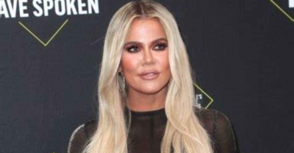 Khloe Kardashian Debuts Braids After Dark Brown Hair Makeover: Watch – Hollywood Life