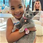 Khloe Kardashian Got True Thompson New Cat: Photos – Hollywood Life
