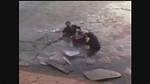 Kids Saved in Icy River Car Crash Reunite with Their Heroes on 'Ellen'