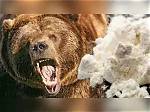Laugh out Loud: the Wildest Cocaine Bear Memes