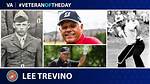 Lee Buck Trevino