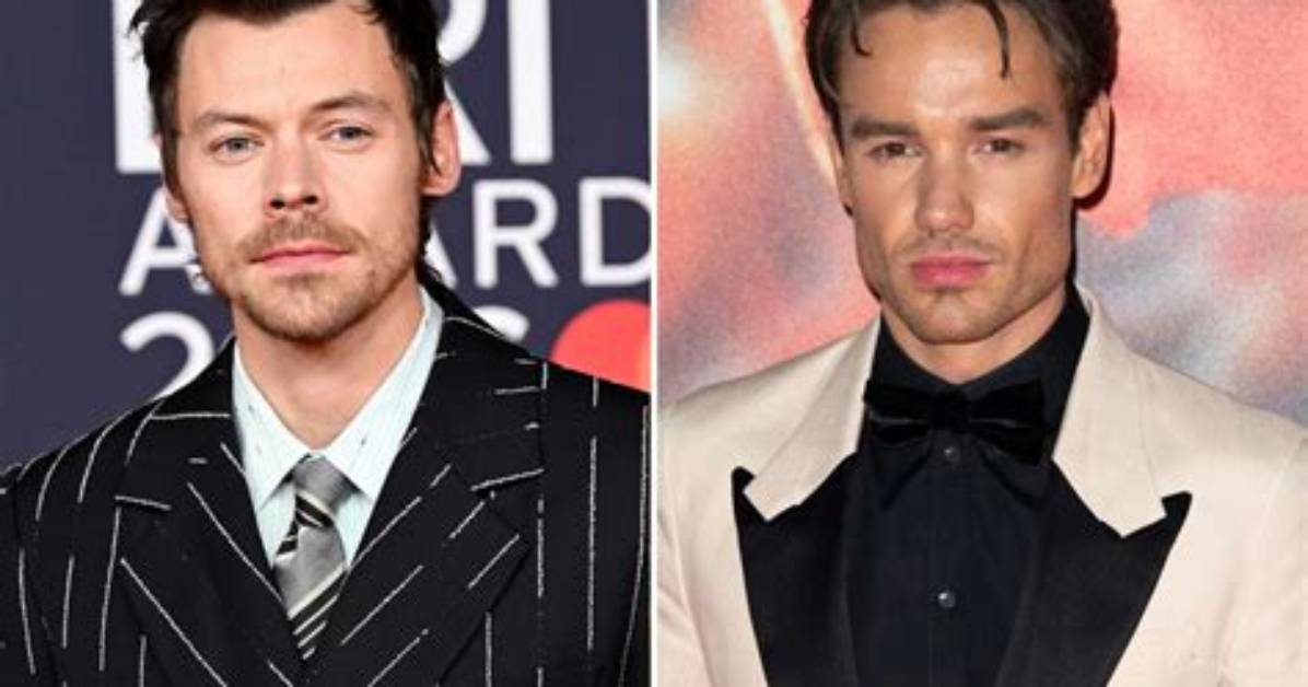 Liam Payne Applauds Harry Styles for Wearing a Dress on ‘Vogue’ Cover: ‘I Thought It Was Great’