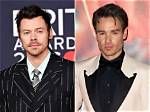 Liam Payne Applauds Harry Styles for Wearing a Dress on ‘Vogue’ Cover: ‘I Thought It Was Great’