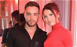 Liam Payne’s “Both Ways” Accused of Fetishizing Bisexuality: Tweets – Hollywood Life