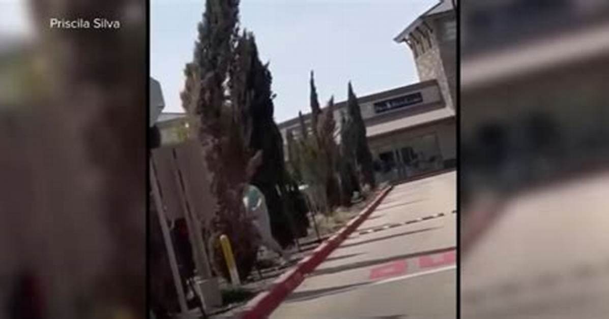 Mauricio Garcia Death and Obituary | Texas Mall Shooter Shoot by Police Officer
